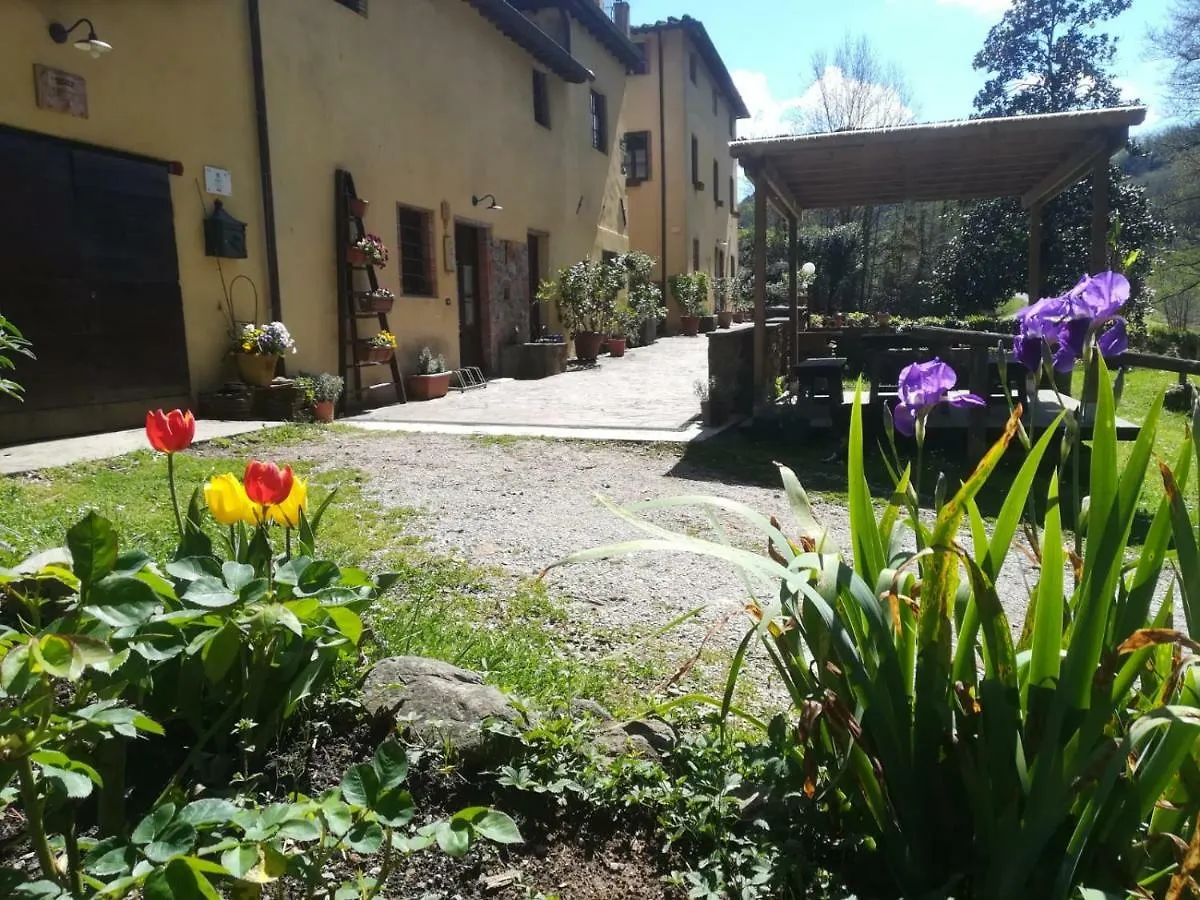 Farm stay A Casa Del Tosi Villa Loppeglia